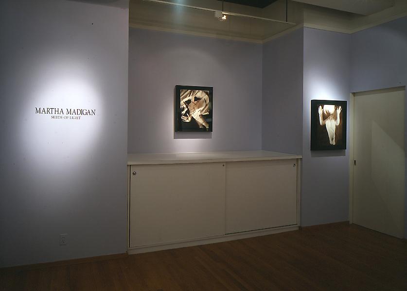 Installation Views - Martha Madigan: Seeds of Light from the Human Nature Series - April 2 – May 31, 1997 - Exhibitions