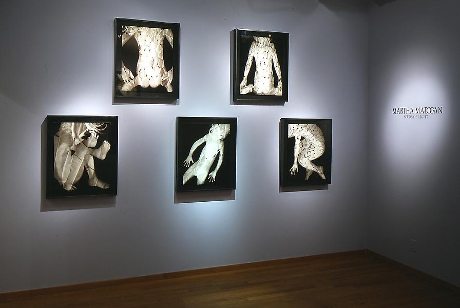 Installation Views - Martha Madigan: Seeds of Light from the Human Nature Series - April 2 – May 31, 1997 - Exhibitions