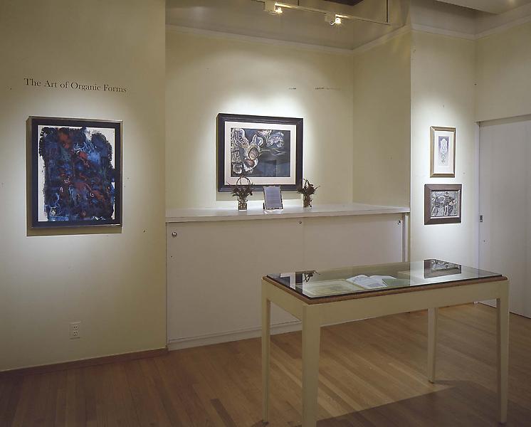 Installation Views - The Art of Organic Forms - March 13 – May 3, 2003 - Exhibitions
