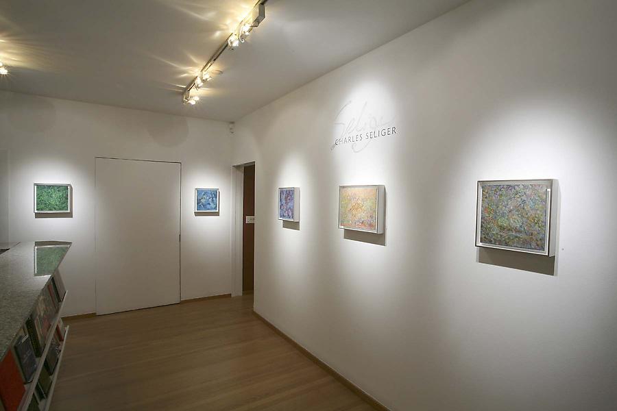 Installation Views - Charles Seliger: Ways of Nature - September 6 – October 25, 2008 - Exhibitions