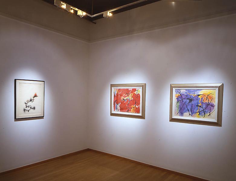 Installation Views - Stroke! Beauford Delaney, Norman Lewis & Alma Thomas - January 14 – March 12, 2005 - Exhibitions