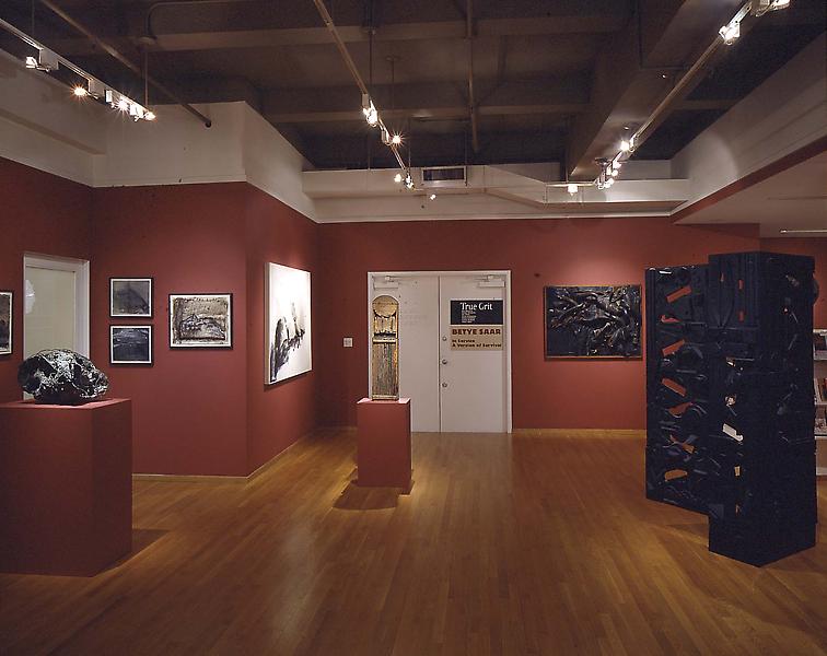 Installation Views - True Grit - March 9 – May 6, 2000 - Exhibitions