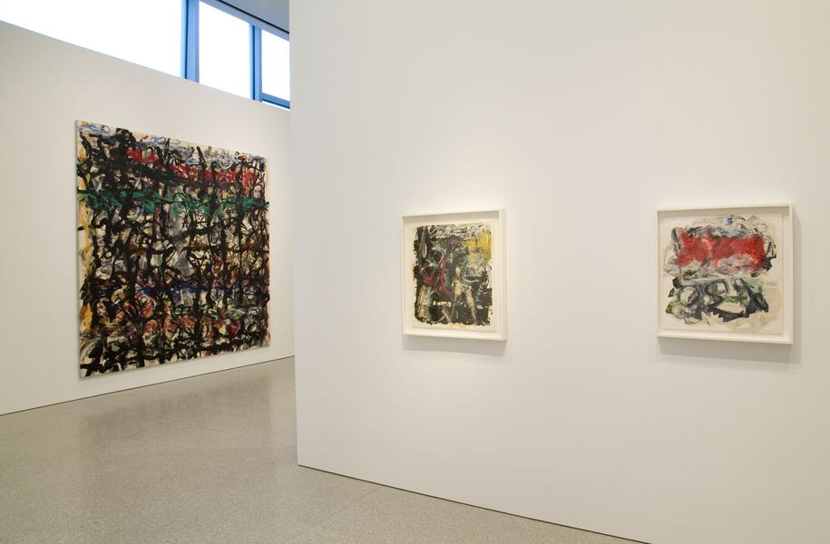 Installation Views - Michael Goldberg: Making His Mark Paintings and Drawings, 1985-2005 - January 17 – March 14, 2015 - Exhibitions