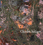 Charles Seliger: Nature's Journal, Recent Painting