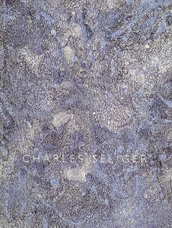 Charles Seliger: The Nascent Image - Recent Painti...